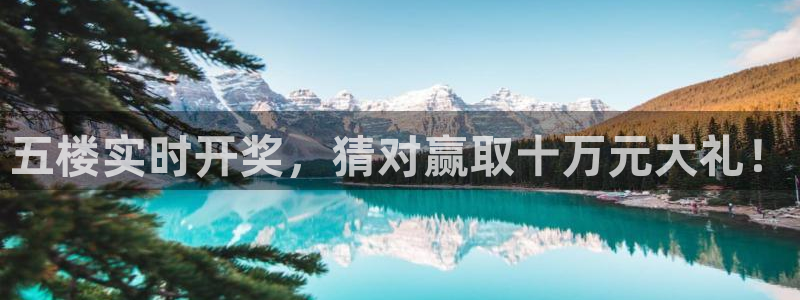五楼实时开奖，猜对赢取十万元大礼！