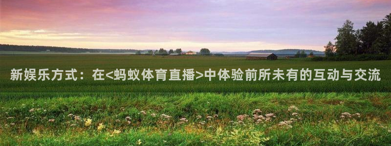 新娱乐方式：在<蚂蚁体育直播>中体验前所未有的互动与交流