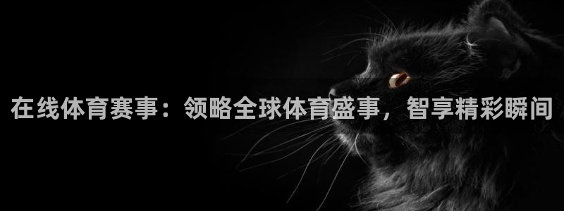 在线体育赛事：领略全球体育盛事，智享精彩瞬间