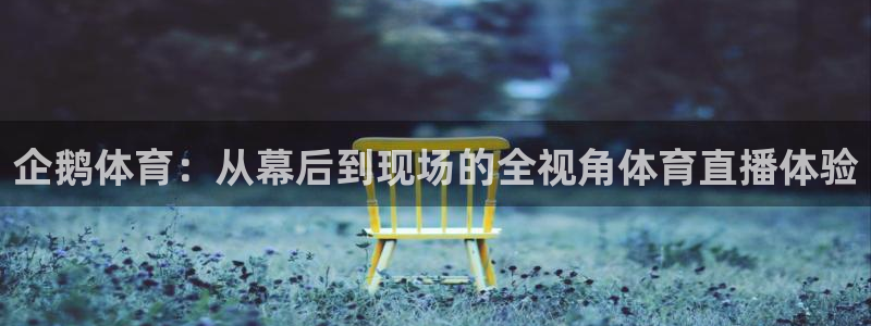 企鹅体育：从幕后到现场的全视角体育直播体验