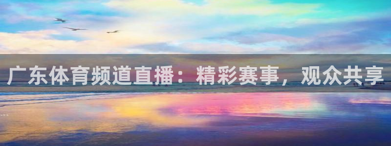 广东体育频道直播：精彩赛事，观众共享