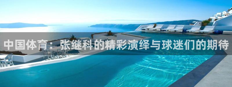 中国体育：张继科的精彩演绎与球迷们的期待