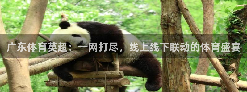 广东体育英超：一网打尽，线上线下联动的体育盛宴