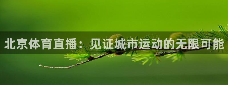 北京体育直播：见证城市运动的无限可能