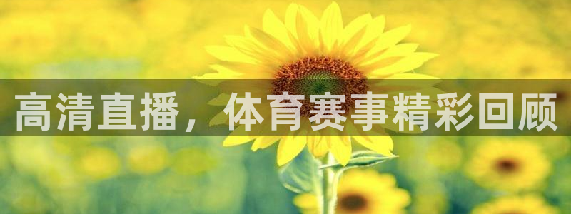 高清直播，体育赛事精彩回顾