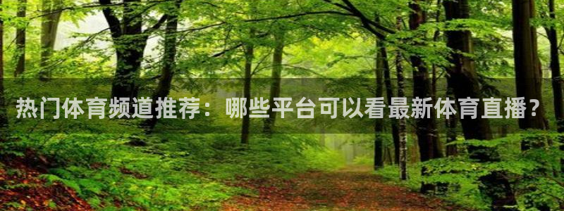 热门体育频道推荐：哪些平台可以看最新体育直播？