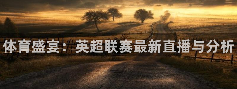 体育盛宴：英超联赛最新直播与分析