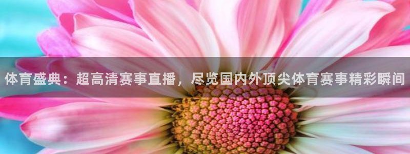 体育盛典：超高清赛事直播，尽览国内外顶尖体育赛事精彩瞬间